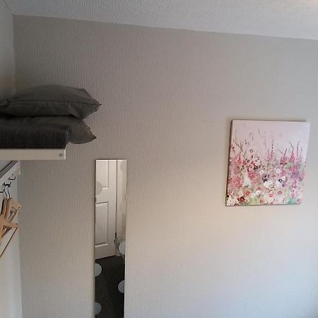 East Belfast Town House Apartment Ngoại thất bức ảnh