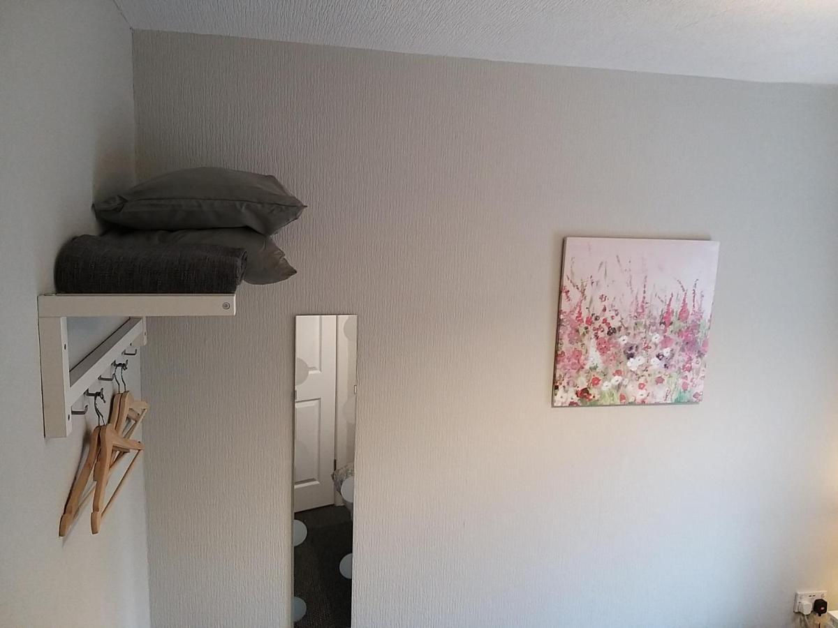 East Belfast Town House Apartment Ngoại thất bức ảnh